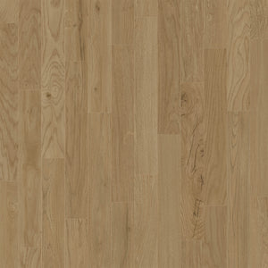 Plank close-up
